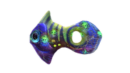 Infected Holefish