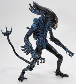 GorillaXenomorph-NECA.jpg