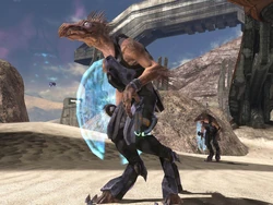 Kig-Yar