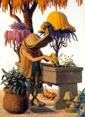 Baffor tree.jpg