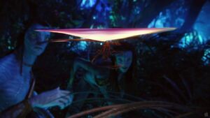 A Fan Lizard lifting