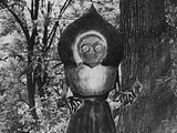 Flatwoods Monster