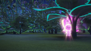 Teleportation of the Enchantress