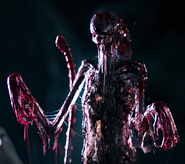Planet4Chestburster.png (535 KB) Praetomorph chestburster