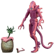 PinkXenomorph.jpg (167 KB) Pink-colored Xenomorph