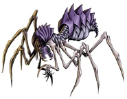 Lengspider.jpg (265 KB)