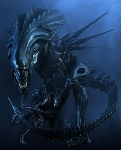 female alien xenomorph