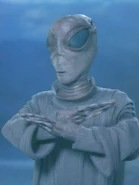 Barash.jpg (37 KB) Barash's Species