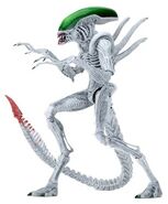 JokerXenomorph.jpg (29 KB) "Joker Alien"