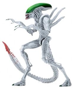 JokerXenomorph.jpg