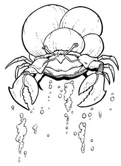 Sink Crab.jpg