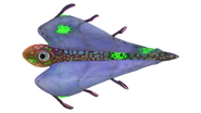 Infected Bladderfish