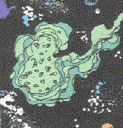 The true form of the Hill People