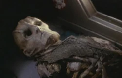 Cardassian skeleton