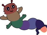 Rainbow Caterpillar