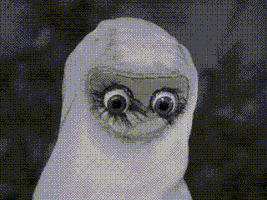 4. Meba crying..gif (326 KB) Meba crying.