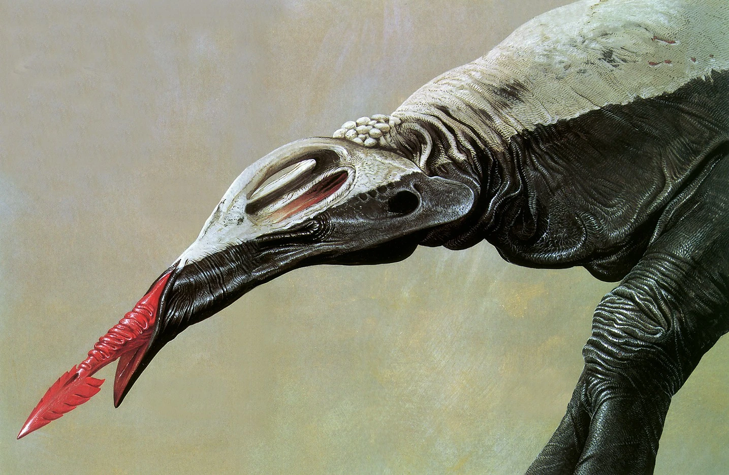 Bolt-tongue | Alien Species | Fandom