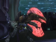 Jackal, Major.jpg (43 KB)