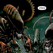 TuskedXenomorphs.png (288 KB) Tusked Xenomorph