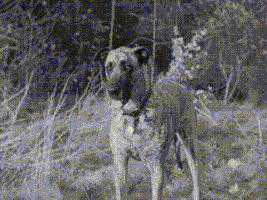 1. Meba makes Juno run backwards..gif (1.68 MB) Meba makes Juno run backwards.