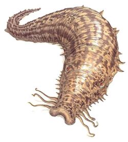 Duracreteworm