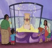 014: Kernel (p.f.: popcorn popper)