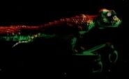 WarpDragon