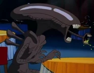 Xenomorph-Animaniacs.jpg (34 KB) Animaniacs
