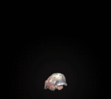 Babbler.gif