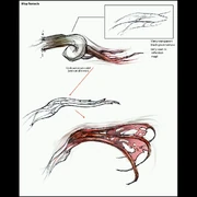 Darkling Tentacle Concept