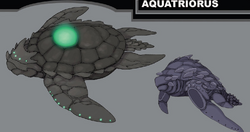 Aquatriorus