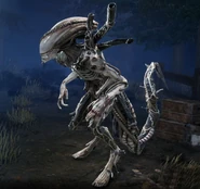 Juggernaut Xenomorph (DBD).png (1.45 MB) Juggernaut Xenomorph (DBD)