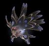 Warpspawner