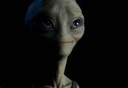 Paul.jpg (4 KB) Paul