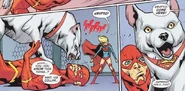 Supergirl's Dog.jpg (315 KB)