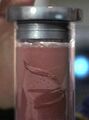 Immunocytic Gel Worm