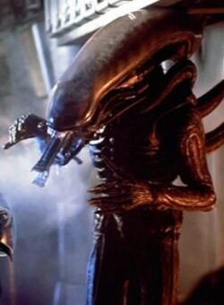 Xenomorph1979.jpg
