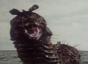 Drashig1.jpg