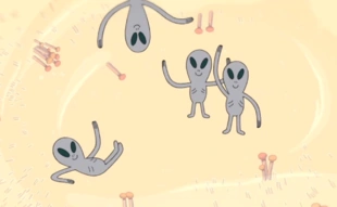 Gray (Adventure Time) | Alien Species | Fandom
