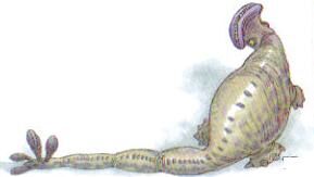 Unknown creature from Dagobah.jpg