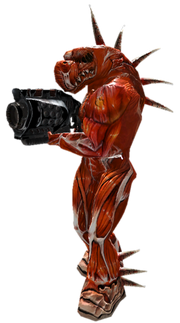Zorg Mercenary SSHD