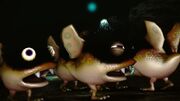 Phosbat infants