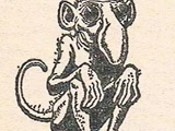 Murri