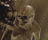 Newborn alien.jpg