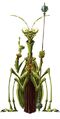Insecton