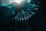 TV-series appearance