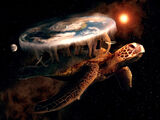 Star Turtle