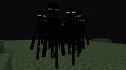 Enderman