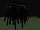 Enderman