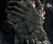 Facehugger attached to host's face